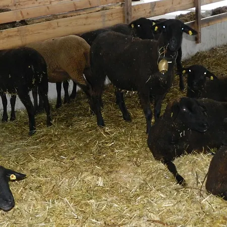 Einkehrhof Poggau Apartamento Reinsberg