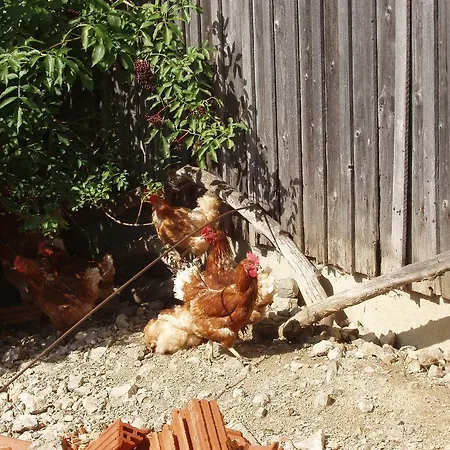 Apartamento Einkehrhof Poggau *