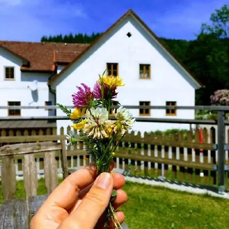 Apartamento Einkehrhof Poggau *