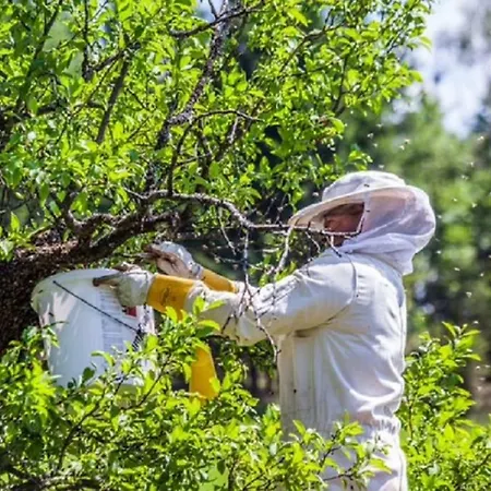 Apartamento Einkehrhof Poggau