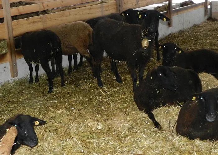 Einkehrhof Poggau Lägenhet Reinsberg