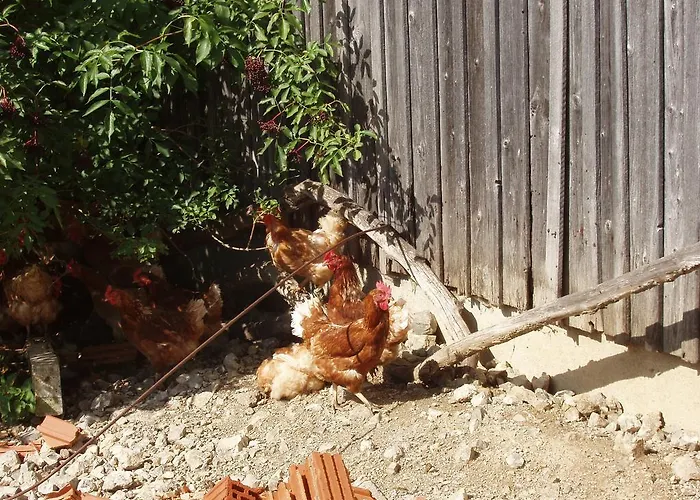 Lejlighed Einkehrhof Poggau *