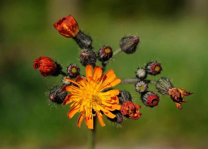 Lägenhet Einkehrhof Poggau Reinsberg