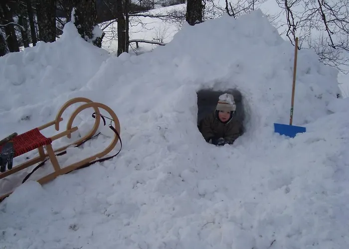 Lejlighed Einkehrhof Poggau *
