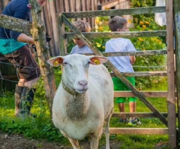 Einkehrhof Poggau Lägenhet *