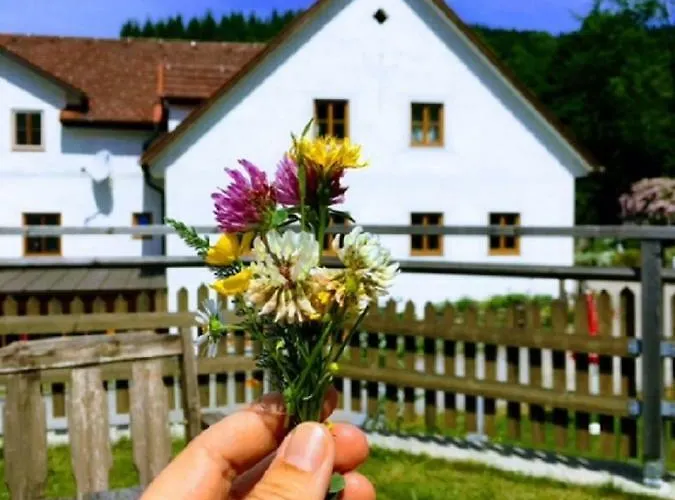 Lägenhet Einkehrhof Poggau *