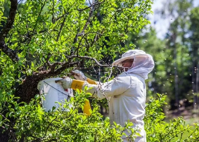 Lejlighed Einkehrhof Poggau